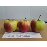 Яблоко Джонагольд